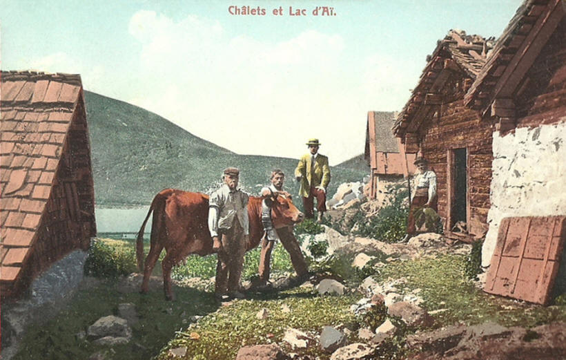Carte postale colorisée des années 1920 : rue traversant le groupement de chalets du lac d'Aï sur la commune de Leysin dans le canton de Vaud (Suisse).