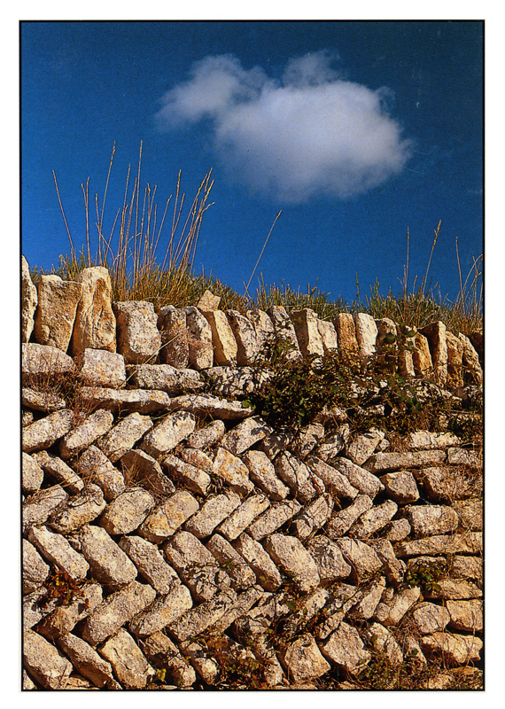 « Mur en épis dans le Lubéron ». Carte postale de Pierre Ricou, 1990.